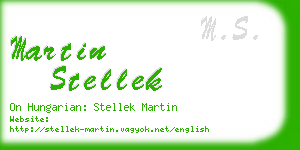 martin stellek business card